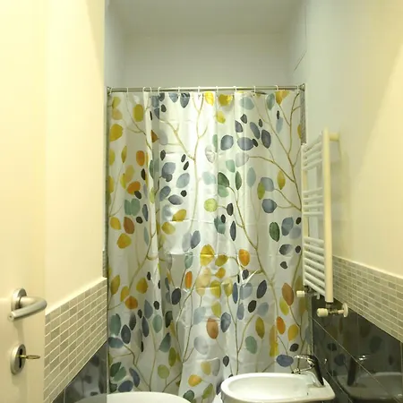 Elena Fine & Shining