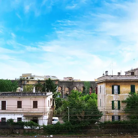 Elena Fine & Shining Rom