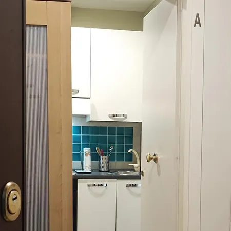 Elena Fine & Shining *